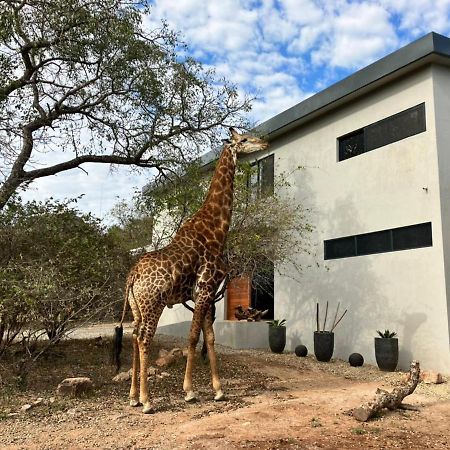 マールロス・パーク Birdsong Krugerヴィラ エクステリア 写真