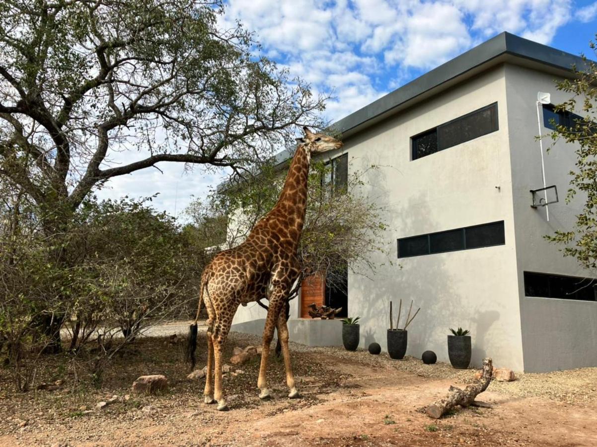 マールロス・パーク Birdsong Krugerヴィラ エクステリア 写真